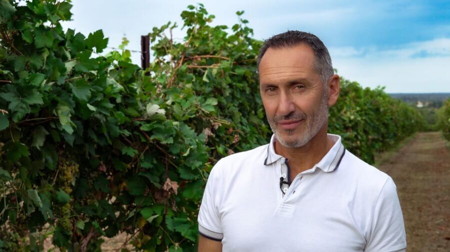 Discovering the mystery grape varieties - Who is this tour best for?