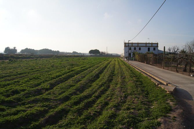 Discovering Valencia - private full day tour - Who Is This Tour Best For?