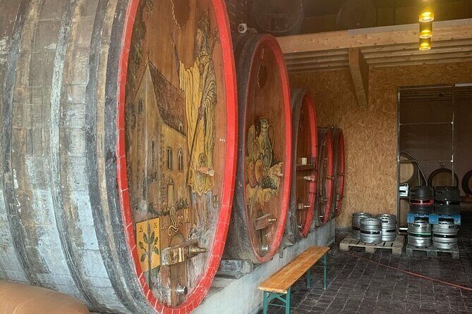 Discovery and Tasting of Biodynamic Wine in Alsace - Value for Money and Booking Details