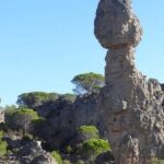 Discovery of the Grands Sites de l'Hérault from Montpellier - The Experience from Traveler Perspectives