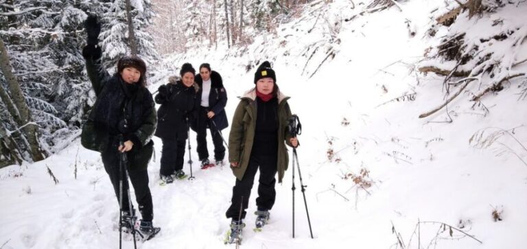 Discovery of the snowy Vercors in snowshoes - What to Bring and Tips for the Tour