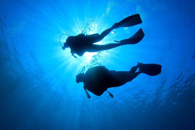 Discovery Scuba Dive. - Who Is This Tour Best Suited For?