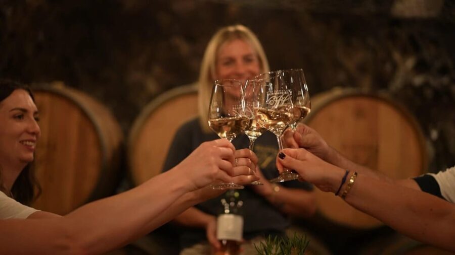 Discovery tour - cellar tour with wine tasting - The Details and Why They Matter