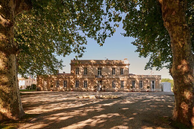 Discovery Tour of Château Haut Breton Larigaudière - Analyzing the Cost and Value