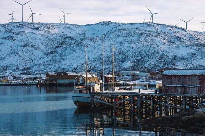 Discovery tour of the island of Senja and Kvaløya from Tromsø - Exploring Norway’s Natural Wonders: What to Expect from the Tour