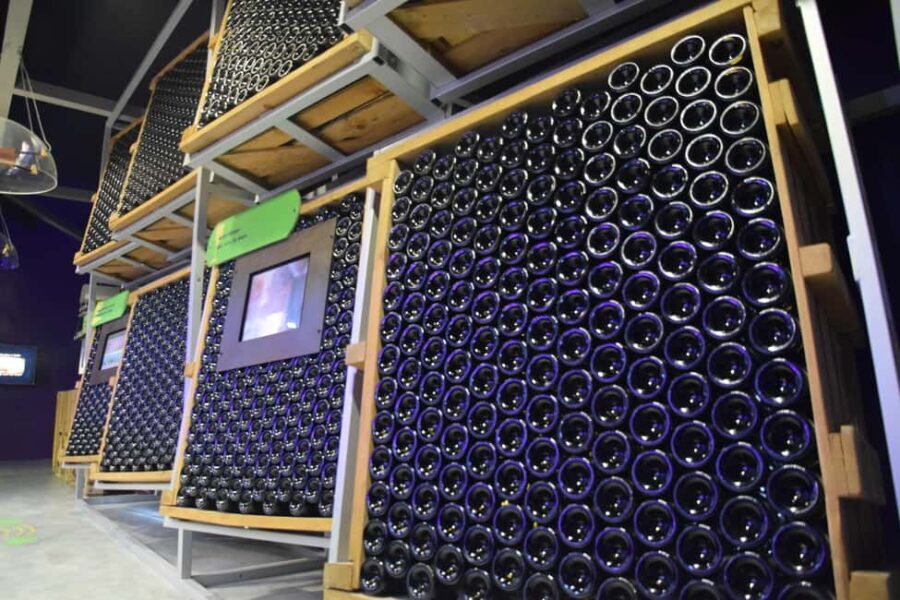 Discovery tour - Real Traveler Feedback