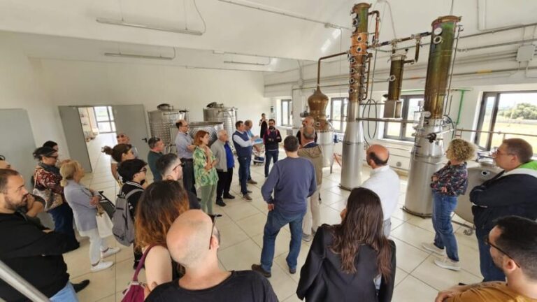 Distilleria Alma- Rum Distilery Guided Tour & Tasting - An In-Depth Look at the Distilleria Alma Tour