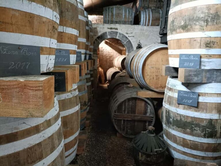 Distillerie Les 1309: Between tradition and modernity - close to Cognac - Exploring the Distillation Process