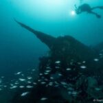 Dive the U-boat 1277 - the Most Iconic Dive in Portugal - The Historic U-Boat 1277