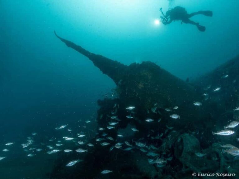 Dive the U-boat 1277 - the Most Iconic Dive in Portugal - The Historic U-Boat 1277