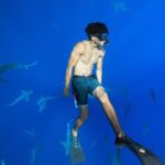 Dive with Sharks in Hawaii: Shark Tour from Haleiwa - The Practicalities: What’s Included and What Not