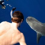 Dive with sharks in Oahu Hawaii: Educational Tour (No cage) - What to Expect in Terms of Experience