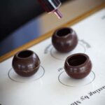 Divine Pairings: Wines & Chocolate Spheres in Saint-Émilion - What is the Experience Like?