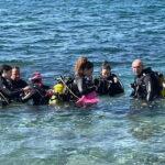 Diving - What to Expect from the Diving Experience
