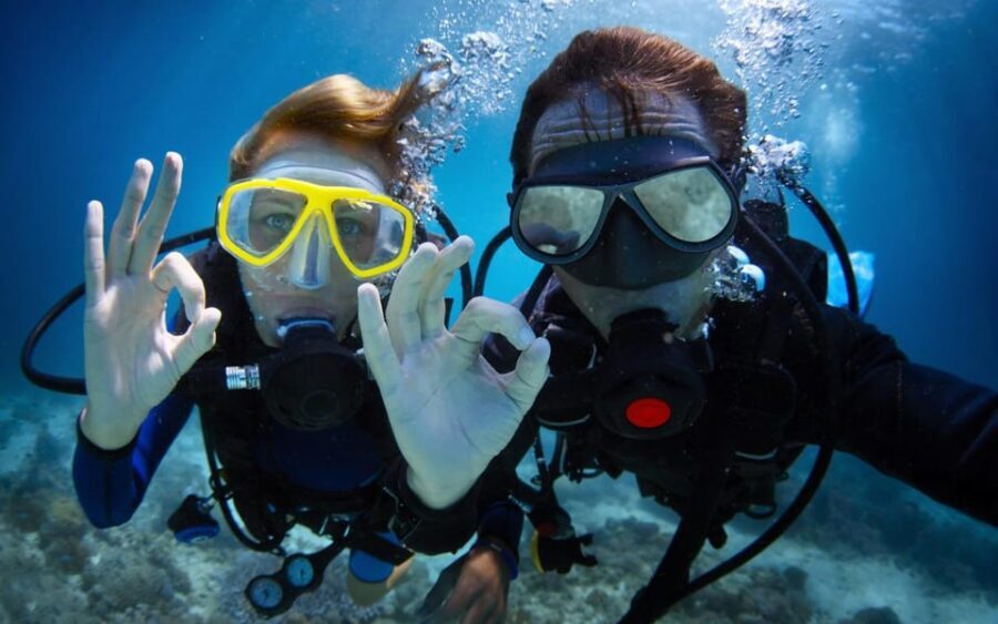 Diving Tour from Alanya & Side with Lunch - 2 Dives Included - The Practical Aspects of the Tour