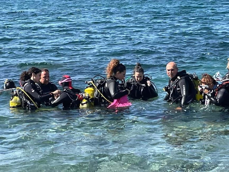 Diving - What to Expect from the Diving Experience