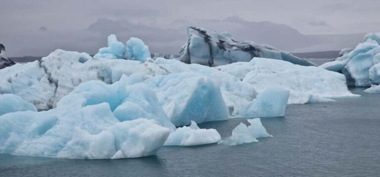 Djúpivogur: Glacier Lagoon & Diamond Beach Shore Excursion - What the Reviews Say