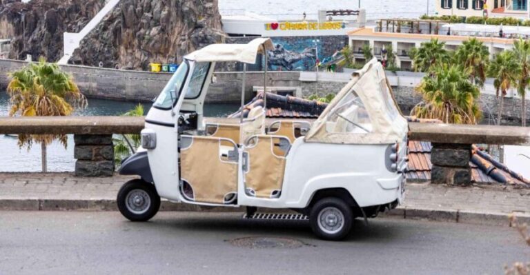 Do Funchal - Câmara de Lobos Fishing Village Tuk Tuk Tour - Who Is This Tour Best For?