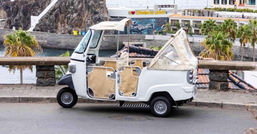 Do Funchal - Câmara de Lobos Fishing Village Tuk Tuk Tour - Who Is This Tour Best For?