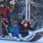 Dog Sledding and Mushing Experience in North Pole - Who Should Consider This Tour?
