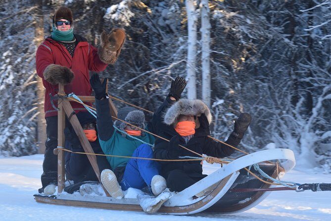 Dog Sledding and Mushing Experience in North Pole - Who Should Consider This Tour?