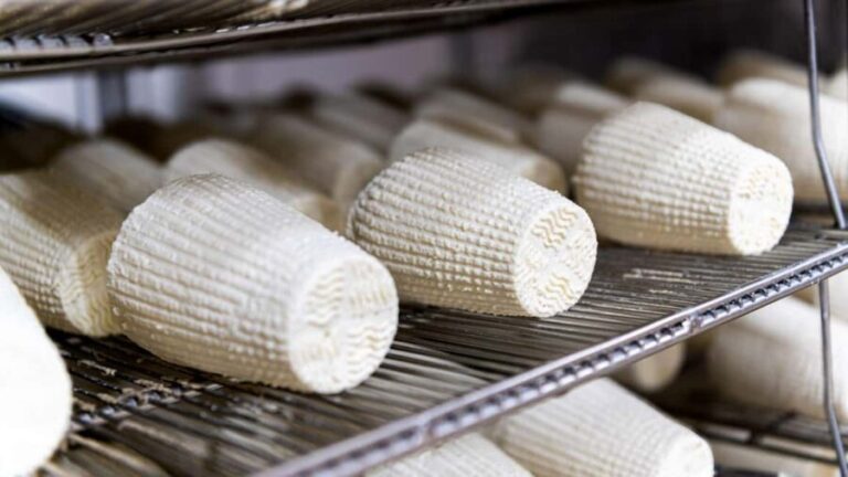 Dolianova: visit and workshop in a cheese factory - The Strengths and Slight Drawbacks