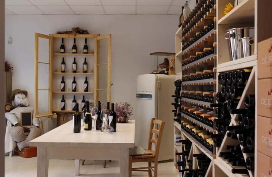 Dolomites Winery Tour and Wine Tasting near Belluno - Who Should Consider This Tour?