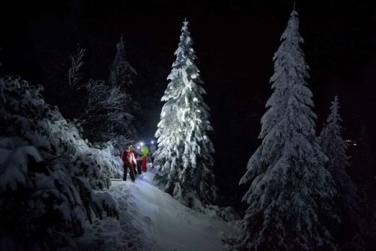 Dolomiti/Paganella: Snowshoeing in the moonlight - Key Points