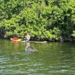Dolphin and Manatee Adventure Tour of Merritt Island - FAQ