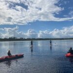 Dolphin and Manatee Adventure tour of Osprey with Florida History - The Practical Aspects