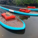 Dolphin and Manatee Adventure Tour of Sarasota with Olde Florida History! - Exploring Sarasota’s Waterways and Wildlife