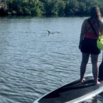 Dolphin and Manatee Kayak and SUP Adventure Tour of Cocoa Beach - Is It Worth the Price?