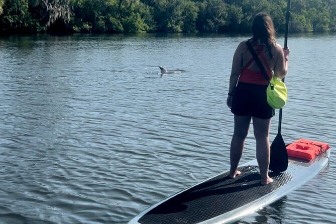 Dolphin and Manatee Kayak and SUP Adventure Tour of Cocoa Beach - Is It Worth the Price?