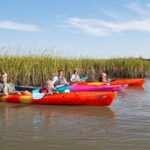 Dolphin Kayak Tour on Folly Beach - The Downsides and Considerations