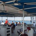 DOLPHIN LOVERS FULL DAY TOUR - What You Can Expect During the Day