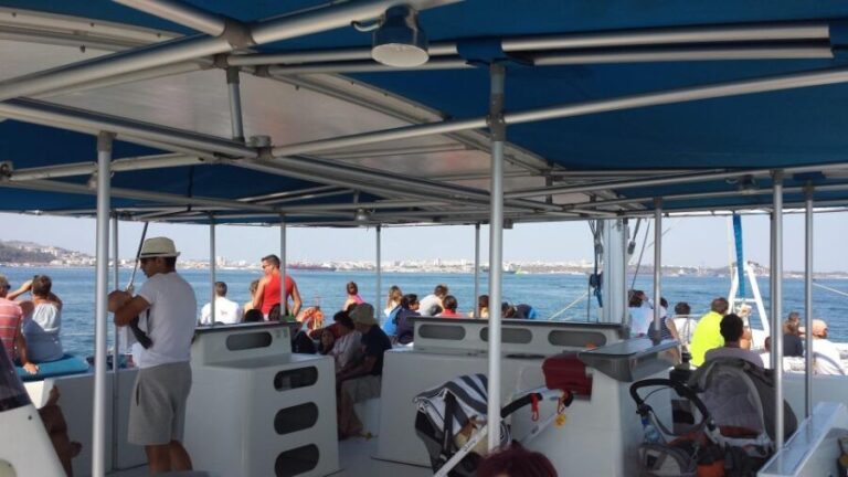 DOLPHIN LOVERS FULL DAY TOUR - What You Can Expect During the Day