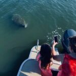 Dolphin/Manatee Pontoon Boat Tour with Local Expert - What the Tour Entails: Breaking Down the Itinerary