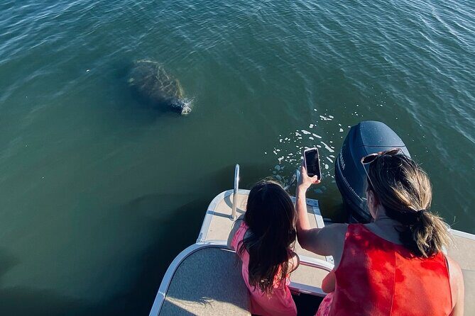 Dolphin/Manatee Pontoon Boat Tour with Local Expert - What the Tour Entails: Breaking Down the Itinerary