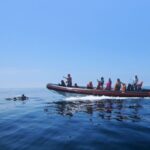 Dolphin Safari and Cave Tour in Vilamoura - Breaking Down the Itinerary