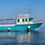 Dolphin Safari Boat Trip from Marina Funtana - The Boat and Facilities