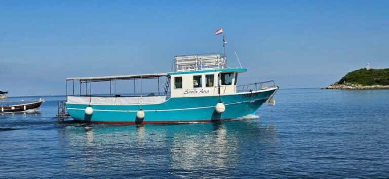 Dolphin Safari Boat Trip from Marina Funtana - The Boat and Facilities