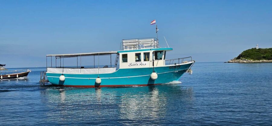 Dolphin Safari Boat Trip from Marina Funtana - The Boat and Facilities