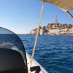 Dolphin safari every evening - What You Can Expect on the Dolphin Safari