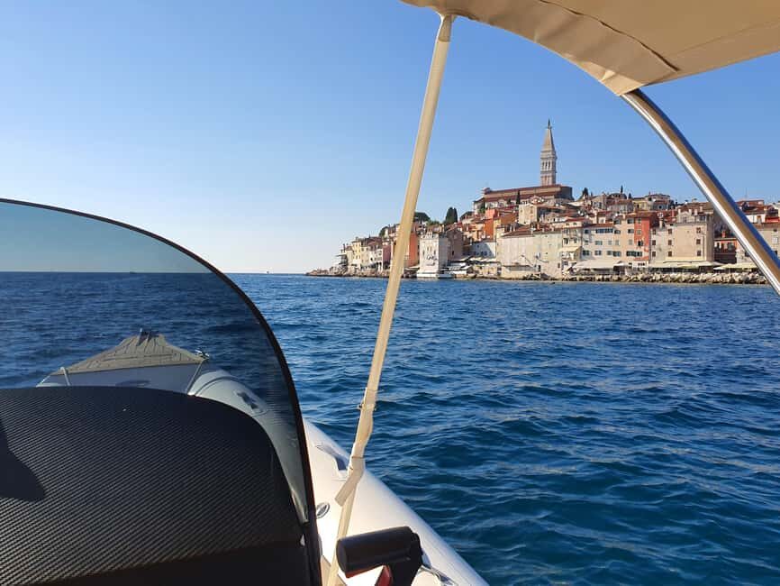 Dolphin safari every evening - What You Can Expect on the Dolphin Safari