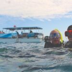 Dolphin Watching and Snorkeling Adventure in Key West - How the Tour Compares and What You’re Paying For