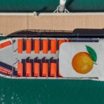 DOLPHIN WATCHING & BENAGIL CAVE TOUR FROM LAGOS - DUAL TRIP - What to Expect on the Day