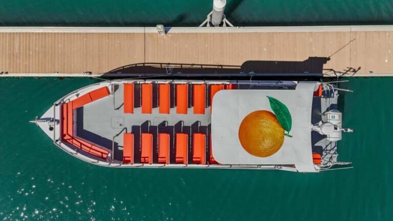 DOLPHIN WATCHING & BENAGIL CAVE TOUR FROM LAGOS - DUAL TRIP - What to Expect on the Day