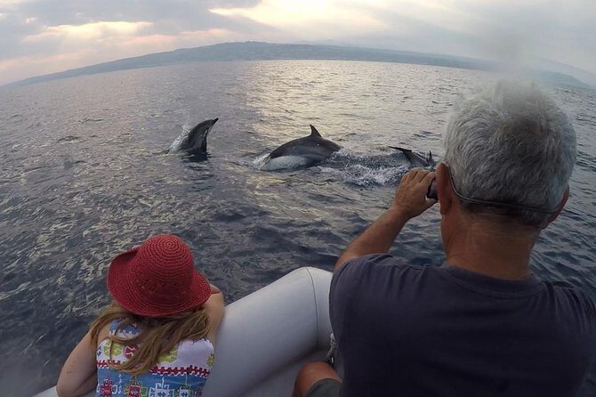Dolphin Watching & Conservation - Dolphins in the Gulf of Catania - The itinerary and what makes each part special
