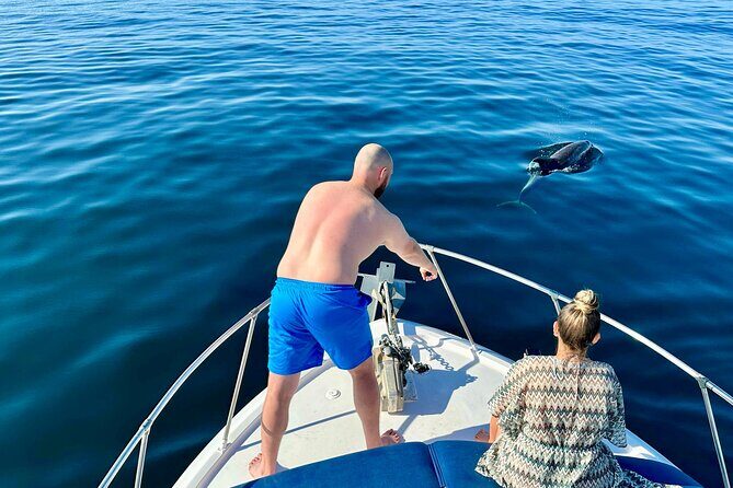 Dolphin Watching in Benalmadena - What to Expect from the Dolphin Watching Tour