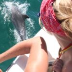 Dolphin Watching in the Wild - Half Day - An Itinerary Breakdown: What to Expect